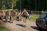 AMC 601 Abraham Fleeing