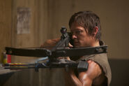 Daryl Hounded 3
