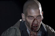 Episode-12-walker-shane20123854018561034612890123598156901