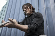 11x18 Daryl