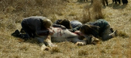 ToTWD 1x04 Cow's Death