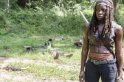 AMC 509 Michonne Mutilated Legs