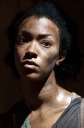 Sasha Williams Promotional Image 3x08 Dec 2012 