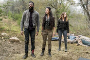 FTWD 4x03 Group 4