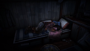 TWDM Michonne Sleeping