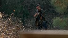513 Sasha in Woods.jpg