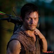 Daryl-Dixon-daryl-dixon-27182982-640-640