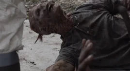 Mihael Sherwood Death