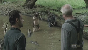 Ходячие в болоте