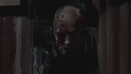 640px-Twd309-000481