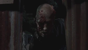 Ходячий проникает в город