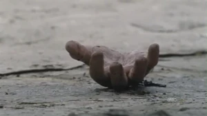 Отрезанная кисть Мерла