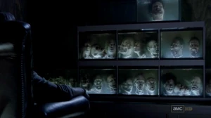 Личная галерея Губернатора