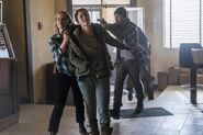 Normal FTWD 308 RF 0329 3679-RT-min