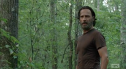 Rick Grimes (32)