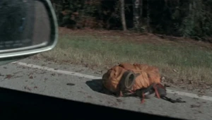 Смерть автостопщика