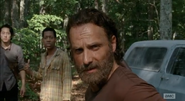 Rick Grimes (24)