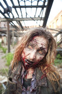 TWD 2x01 Female Walker