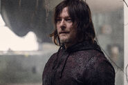 10x16 Daryl