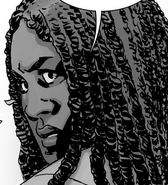 Issue 163 - Michonne 4