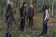 TWD 6x15 Group