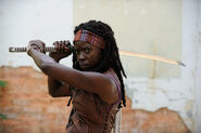 Walking-dead-michonne 510