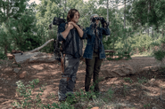 10x06 Daryl and Carol spy mode