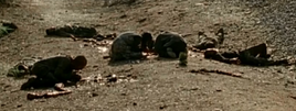 Luke&MollyDead