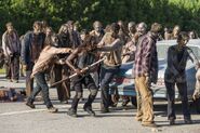 Normal TWD 709 GP 0823 0189-RT-GN-min