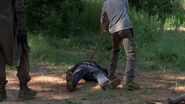 Twd0901-0202