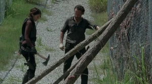 Мэгги и Рик укрепляют забор