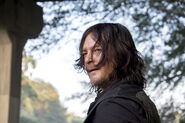 811 Daryl