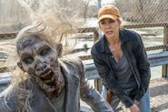 Normal FTWD 405 RF 0123 0341-RT-min