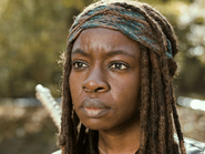 AMC S5B Michonne Fog