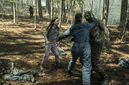 ToTWD 1x03 The Guardian