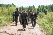 AMC TWD Knots Untie