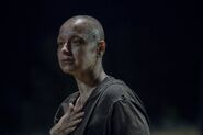 TWD10x08Alpha (1)