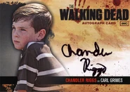 Chandler Riggs
