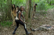 AMC 603 Michonne Woods