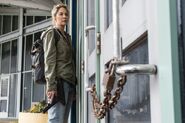 Normal FTWD 406 RF 0201 0151-RT-min