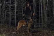 11x04 Daryl and Dog