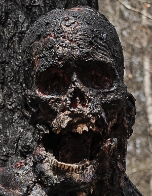 Reaper 2 (TV Series), Walking Dead Wiki