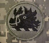 Georgia-national-guard-acu-patch