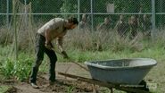 TWD401 RickFarming