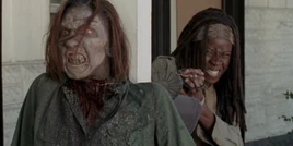 Sorrow Michonne Walker