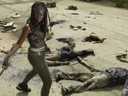 The-Walking-Dead-promo-Michonne-1024x768