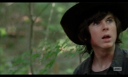 5x02 Carl Shocked