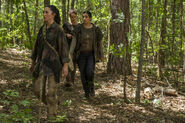 The-walking-dead-episode-706-tara-masterson-2-935