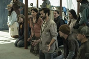 ToTWD 1x03 New Line-Up.jpg (7,74 МБ)