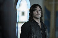 11x19 Daryl